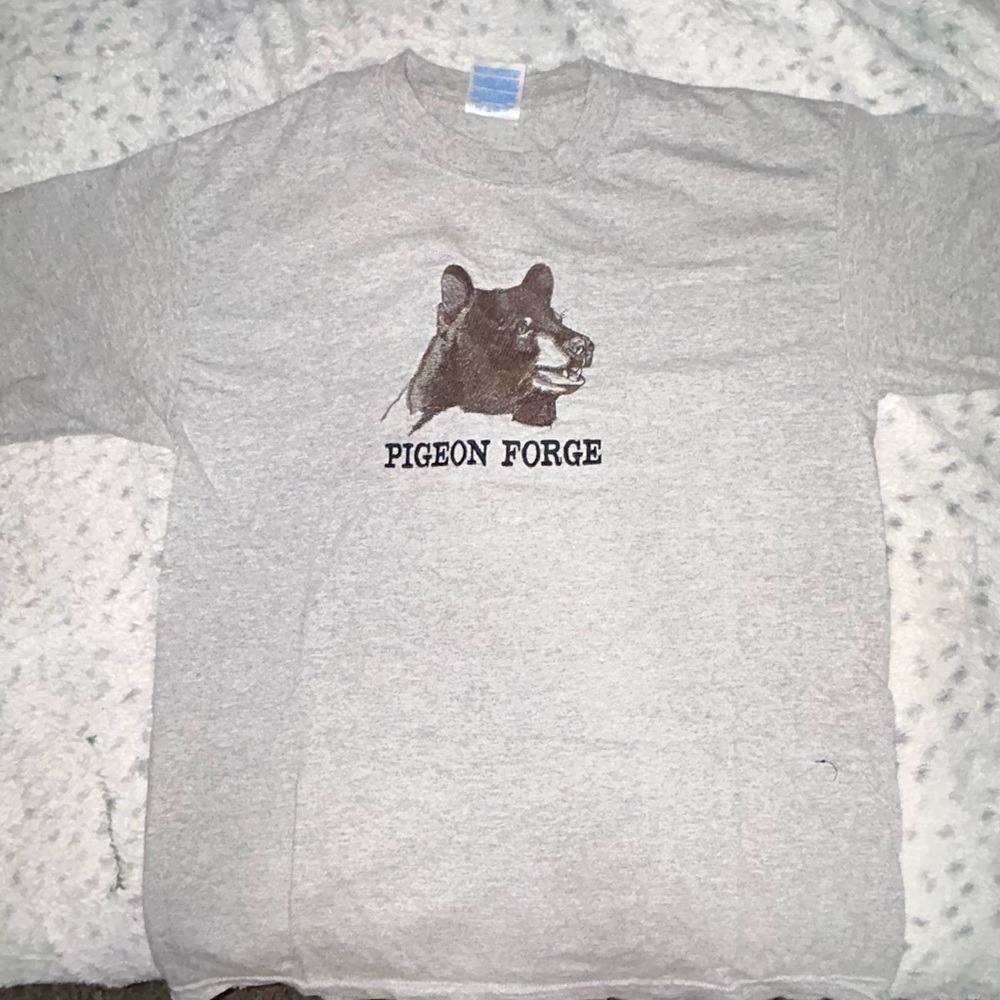 Gray Pigeon Forge Bear T-Shirt